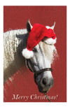 Horse Christmas card